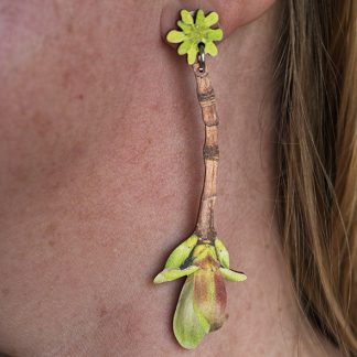 Vaahteranoksa-korvakorut